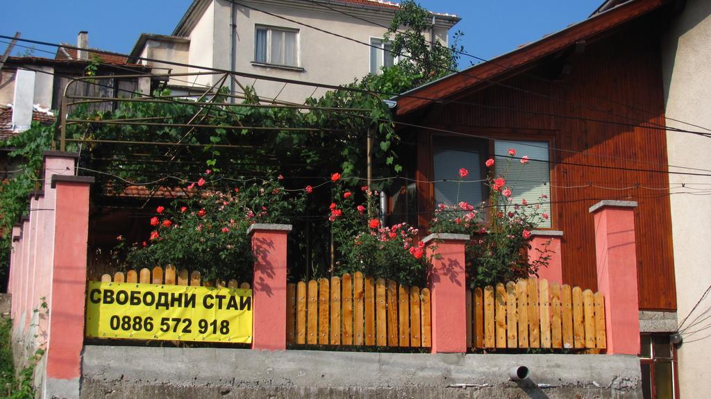 Guesthouse Elena Belogradtschik Exterior foto