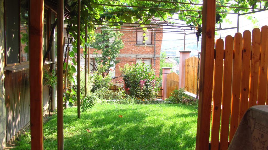 Guesthouse Elena Belogradtschik Exterior foto